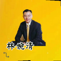 林婉清