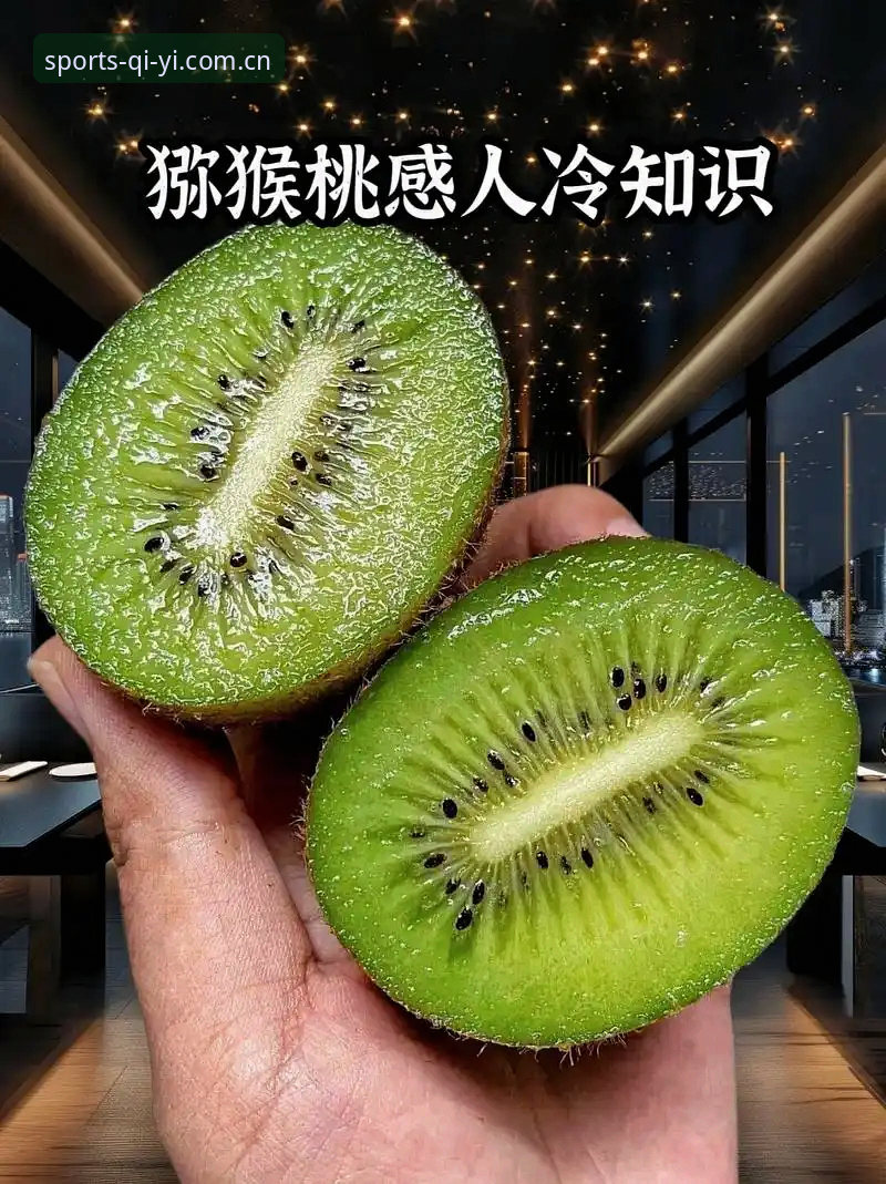 奇异果体育登录常见问题详解：从账户异常到版本兼容的完整指南