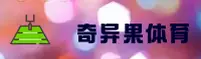 奇异果体育(QIYI)官方网站 - 行业领先的体育娱乐平台